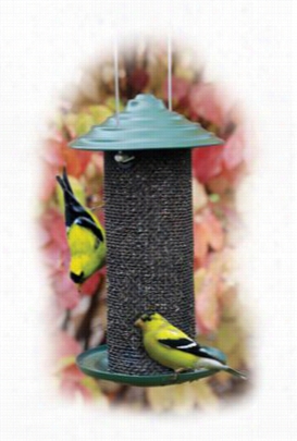 Woodlink Magnum Bird Feeder - Thistle Feeder