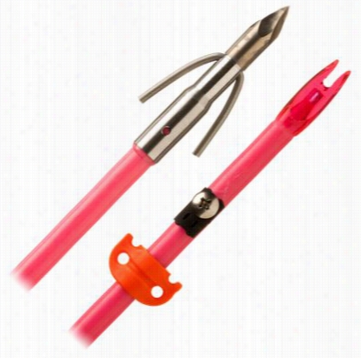 Ams Bowfishing Chaos Point With Comlpete Arrow Set - Pink Figerglass Shaft