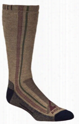 Ascendt Rekker Socks Fo R Men - Khaki - L