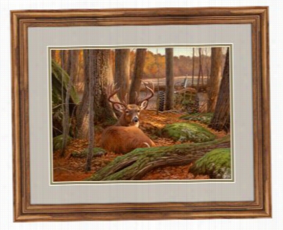 Dallen Lambson Framed Artwork - Where Sleeping Deer Lie