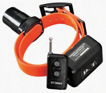 Dt. Systems Btb Beeper Collar