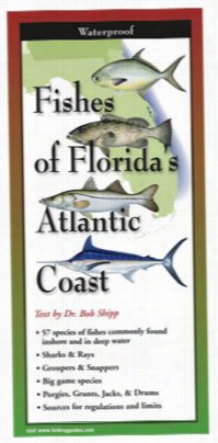 Fishes Of Florida's Atlantic Coas Tlaminsted Folding Guide  By Bob Shipp And Diane Peebles