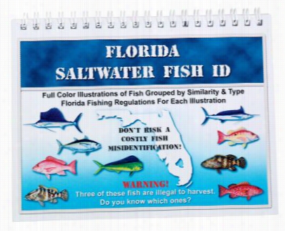 Florida Saltwat Er Fish Id Book By Saltwater Fish Id, Inc.