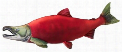 Giant Fish Pillow - Skfkeye Salmon