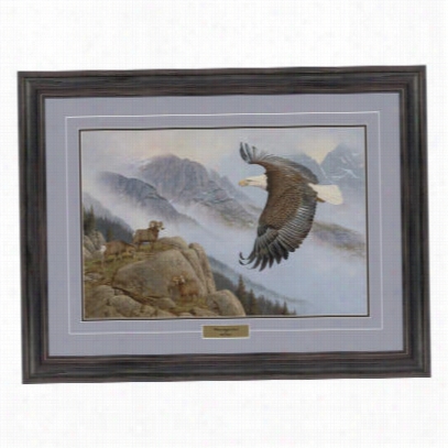 Haydenlambson Framed Artwork - Where Eagles Dare