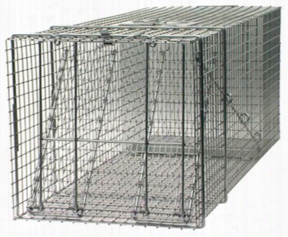 Live Animal Cage Ensnare - Arge Raccoon