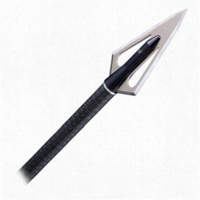 Magnus Sting Er Fixed-bl Ade Broadheads - 2 Blade - 100 Grain