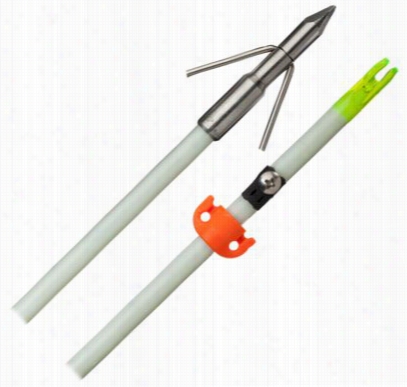 Just Discovered Archery Produtcs Own The Night Bowfishing Arrow And Fishhead Combo