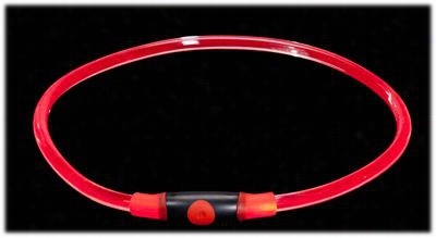 Nite D Awg Nitehowl Led Safety Necklace Dog Ring - Red