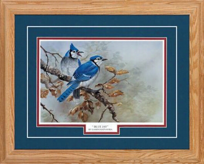 Northern Promotions Framed Ar T- Blue Jay By Gamini Ratnavaria