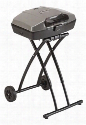 Roadtrip Charcoal Grill