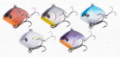 Xps 5-piece Rrattle Shad Kit