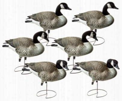 Greenhead Gear Commercial Gradde Full Body Honkers Active Goose Decoy Apck