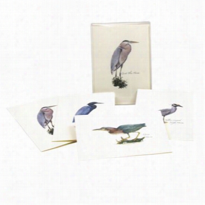 Heron Boxed Nature  Notecar D With Envelope Assortment