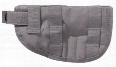 White River Fl Shop Molle--style Hollster