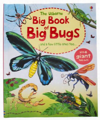 Big Book  Of Big Bugs Book For K Ids By Emily Bone