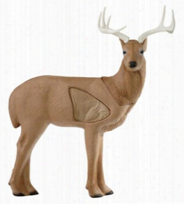 Blackout Deer 3-d Target