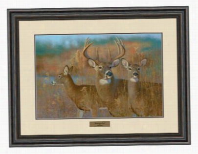 Hayden Lambson Framed Artwork - Momentaryy Pause