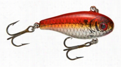 Lindy Dadter Lure - 1/4 Oz. - Redtail