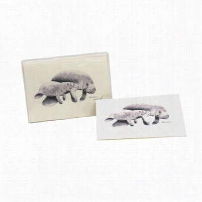 Manatee Noetcards With Envelopes Boxed Et