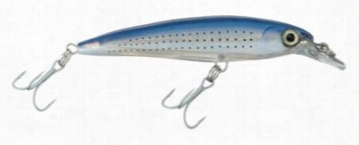 Rapala Saltwater X-rap Lure - 5-1/2" - Spotted Minnow