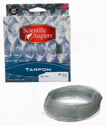 Scientific Anglers Tarpon Mastsry Sinking Fl Yline - Wf-12-s