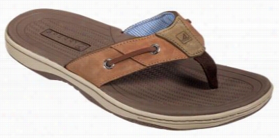 Sperry Top-sid Er Baitfish Saandals For Men - Dark Tan - 10 M