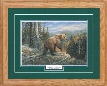 Northern Promotions Framed Art - Grizzly's Domain by Terry Doughty