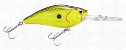 Xps Lazer Eye Absorbed Diver Crankbait - Charttreuse Black Back