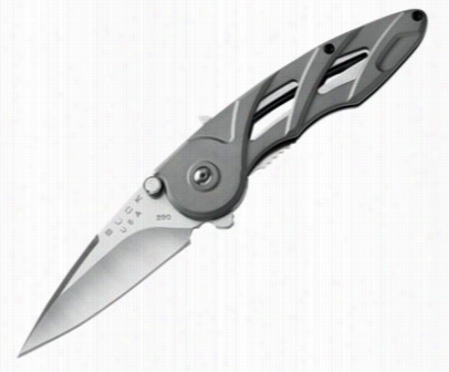 Buck Rush Assisted Opening Folding Knife - Greey