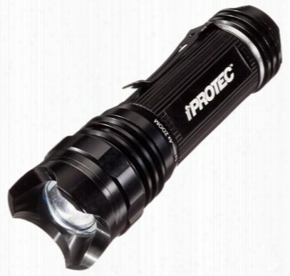 Iprotec 250 Lite Led Flashlight