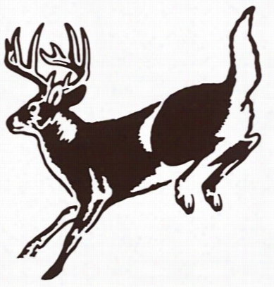 Outdopr Action Decals - Deer Action