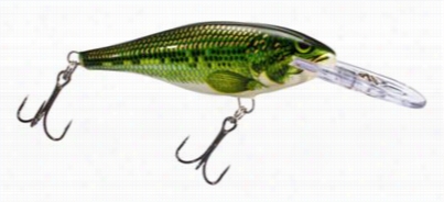 Rapala Shad Rap Hardbait - S R04 - 1-12/" - Baby Bass