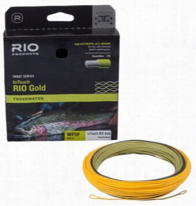 Rio Intouch  Rio Gold Fly Line - 4