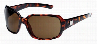 Suncloud Cookie Pola Rized Sunglasses - Tortois E/brown
