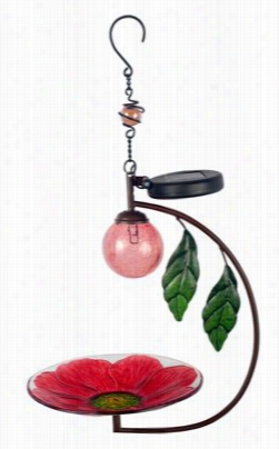 Sunset Vista Designs Solar Glass Bird Feeder - Red