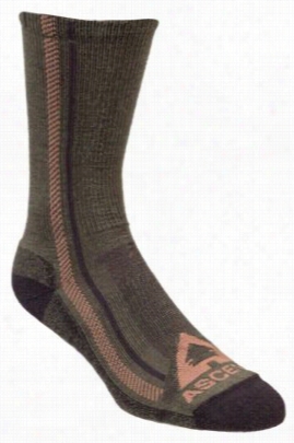 Ascend Hiker Crew Socks For Men - Olive Night - L