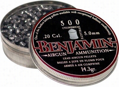 Benjamin 20 Caliber Cylindrical Ellets - 500