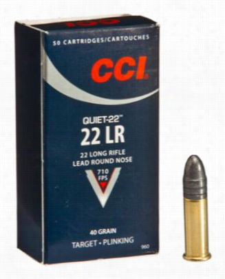 Cci .22 Lr Competition/target Rimfire Ammo-  40 Grain - 50 Roumds