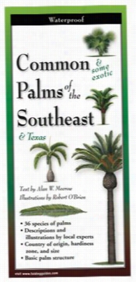 Common & Some Exotic Palms Of The  Southeast & Texas Laminatedf Olding Guide By Alan Meerow And Robert O␙brien