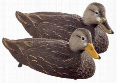 Drake Waterfowl Systems Breeze-ryder Magnum Black  Duck Decoys