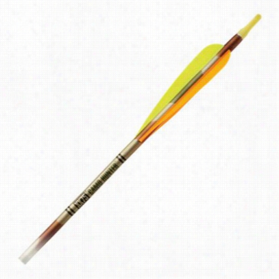 Easton Xx75 C Amo Hunter Aluminum Arrows - Dozen - Vanes - 2315