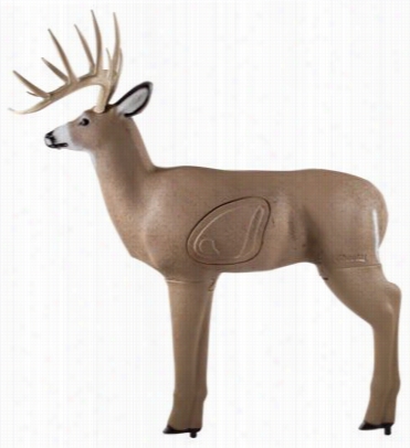 Field Logic Glendel Crossbow Hooter Buck 3d Archery Target