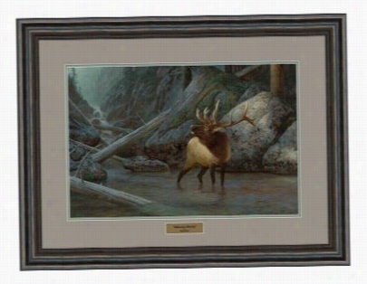 Haydne Lambson Framed Artwork- Yellowstone Early Part