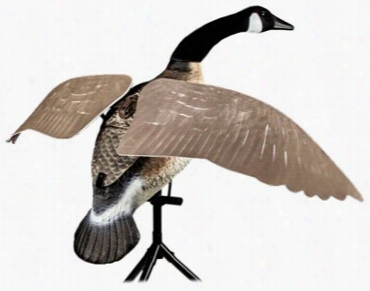 Lucky Duck Lucky Flapper Canada Goose Motorized Allure With Remote