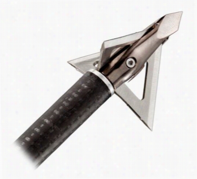 Muzzy Trocarbrroadhead - Silver -100 Rains - Broadhead - 8/32'