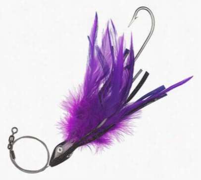 Offshore Angler Dolphin Candy - 5-1/2' - Purple/black