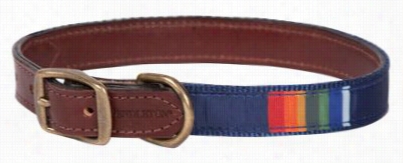 Pendleton Nattionwl Park Collection Epxlorer Dog Collar - Crater Lake  Xl