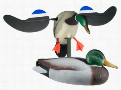 Redead Mallards And Mojo Abroad Aby Mojo  Duck Decoy Combo