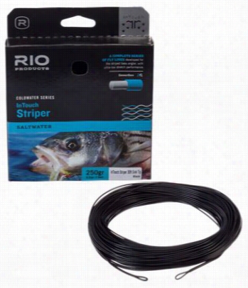 Rio Intouc Striper 30' Sink Tip Fly Fishing Line - Blackg/ray - 250 Gr